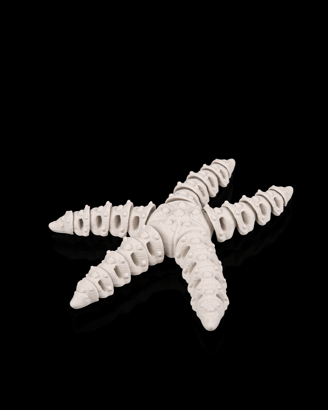 Skeleton Starfish – 3D Printed Ocean Skeleton Model