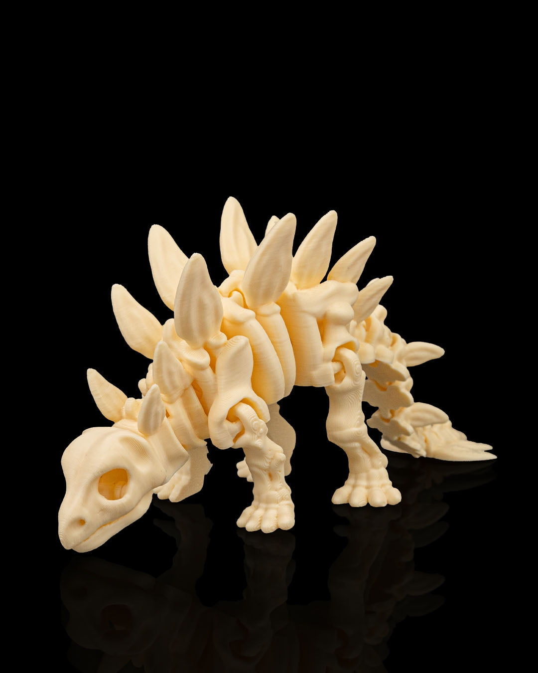 Skeleton Stegosaurus – 3D Printed Dinosaur Skeleton Model