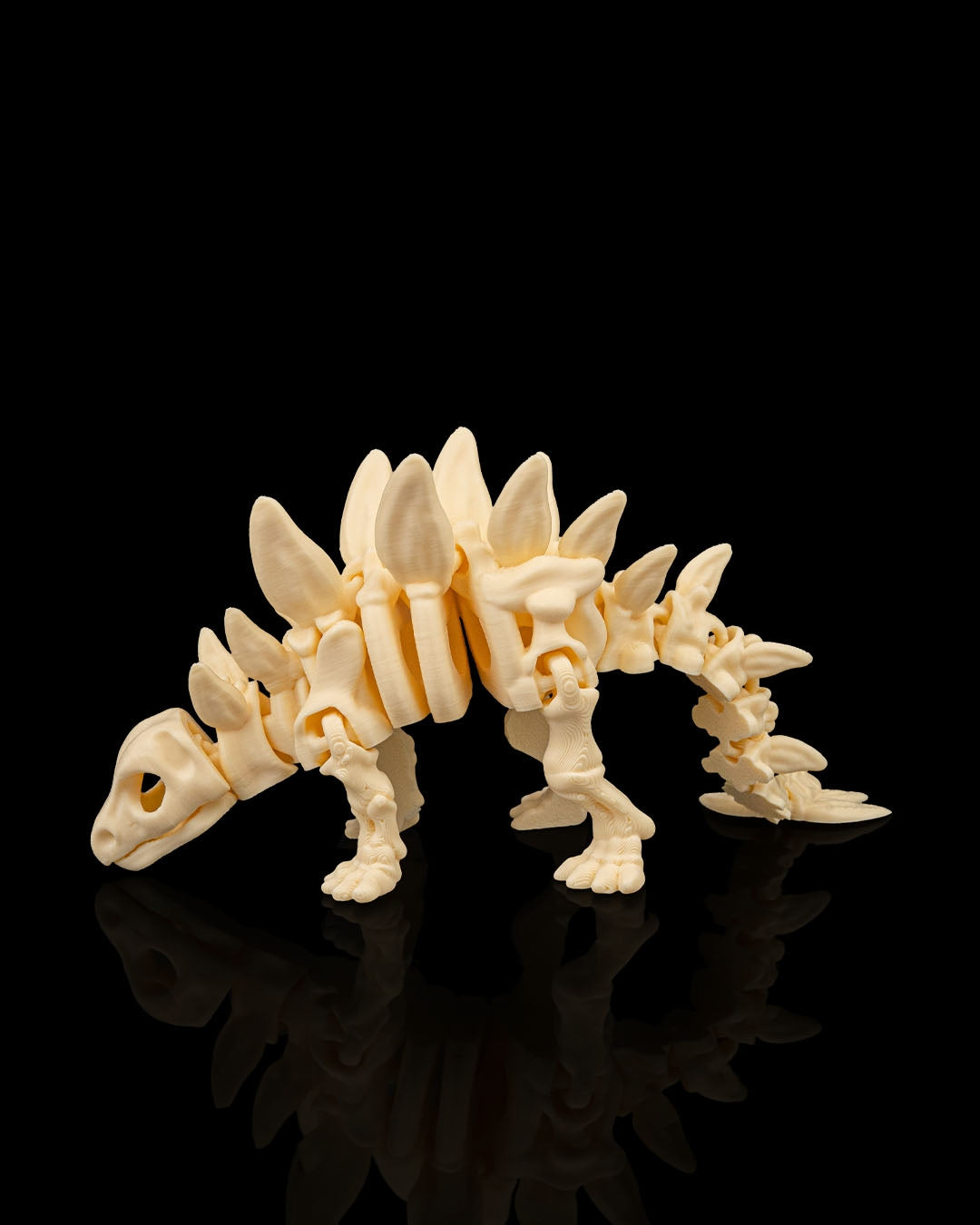 Skeleton Stegosaurus – 3D Printed Dinosaur Skeleton Model