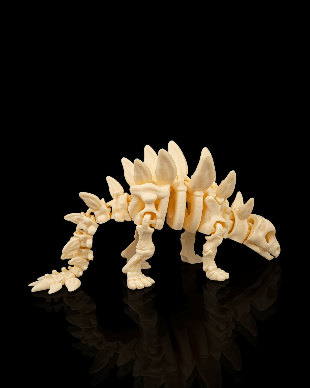 Skeleton Stegosaurus – 3D Printed Dinosaur Skeleton Model