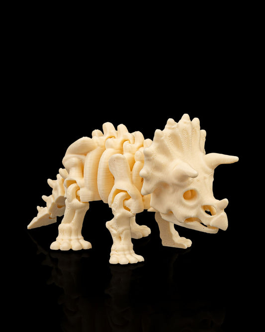 Skeleton Triceratops – 3D Printed Dinosaur Skeleton Model