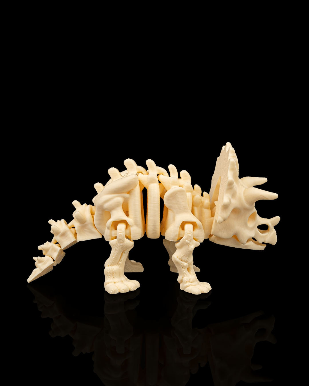 Skeleton Triceratops – 3D Printed Dinosaur Skeleton Model