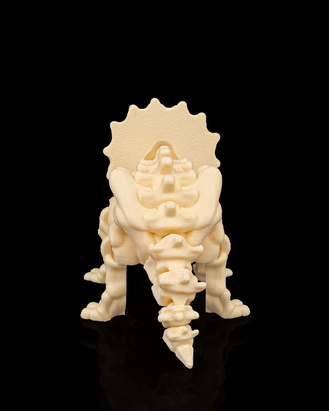 Skeleton Triceratops – 3D Printed Dinosaur Skeleton Model