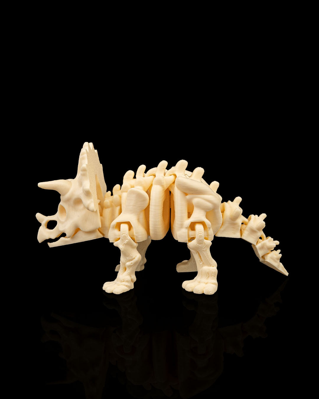 Skeleton Triceratops – 3D Printed Dinosaur Skeleton Model