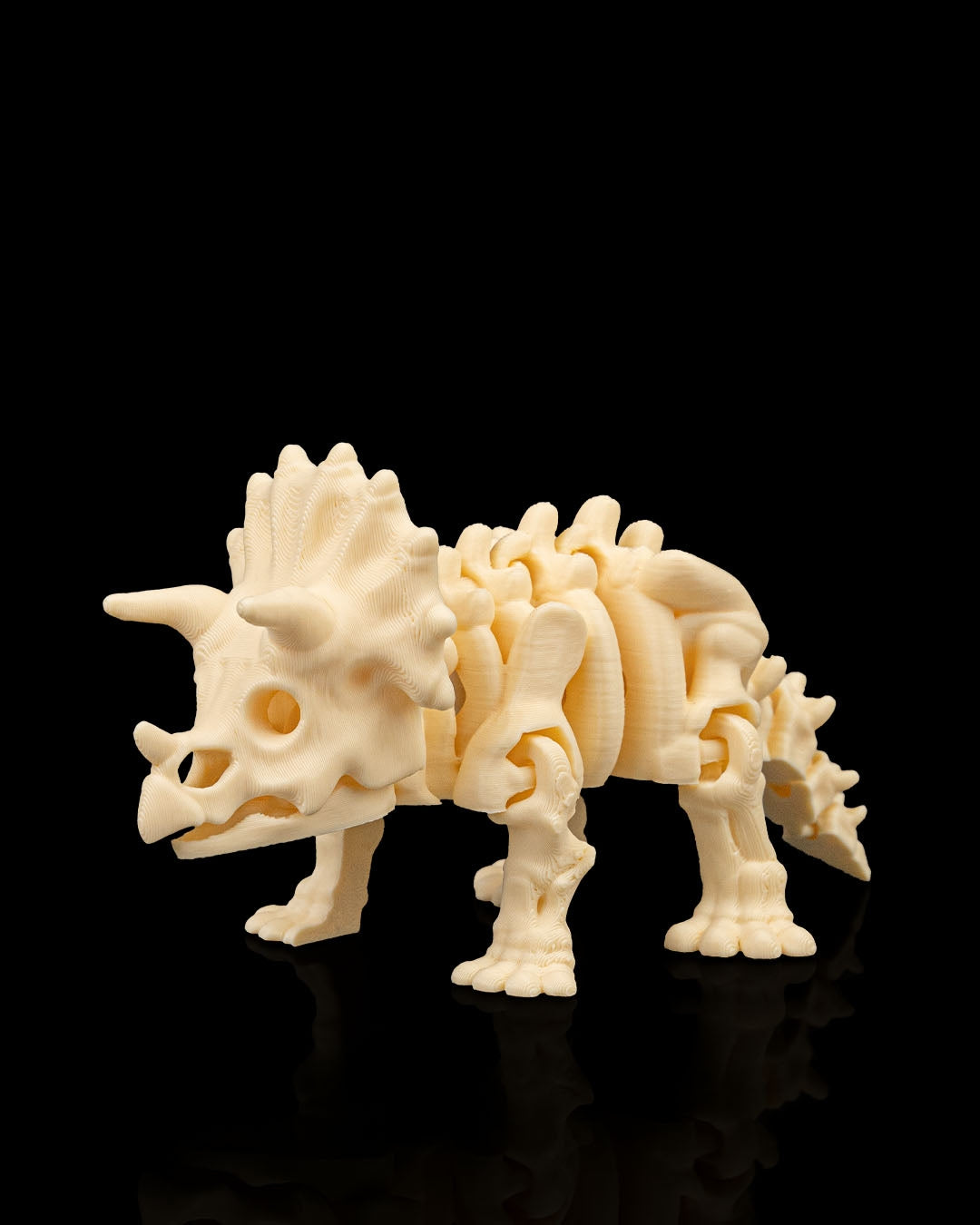 Skeleton Triceratops – 3D Printed Dinosaur Skeleton Model