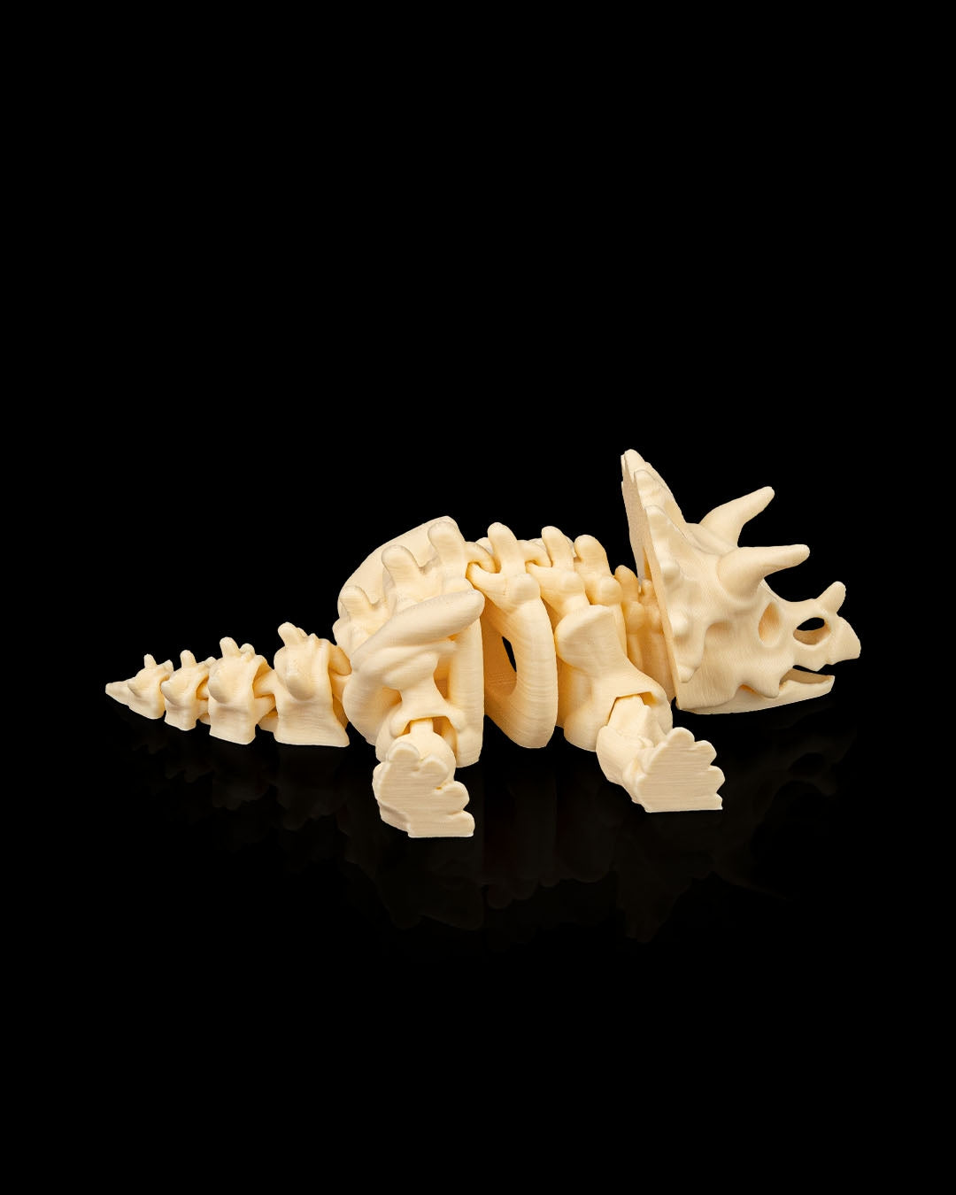 Skeleton Triceratops – 3D Printed Dinosaur Skeleton Model