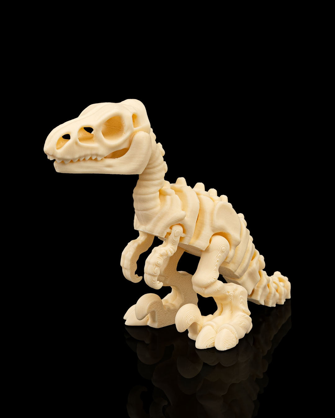 Skeleton Velociraptor – 3D Printed Dinosaur Skeleton Model