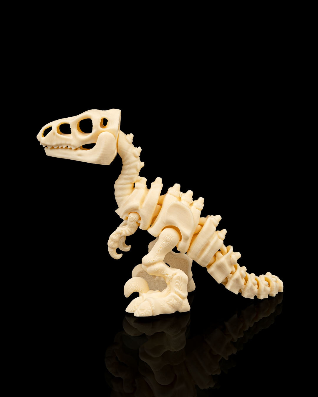 Skeleton Velociraptor – 3D Printed Dinosaur Skeleton Model