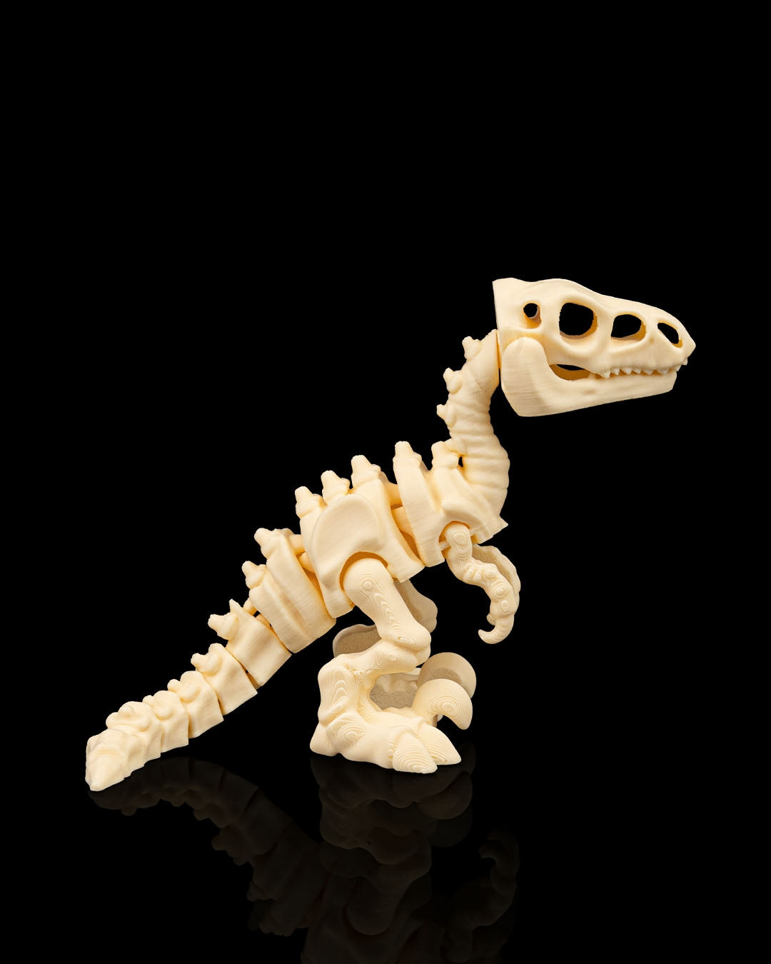 Skeleton Velociraptor – 3D Printed Dinosaur Skeleton Model