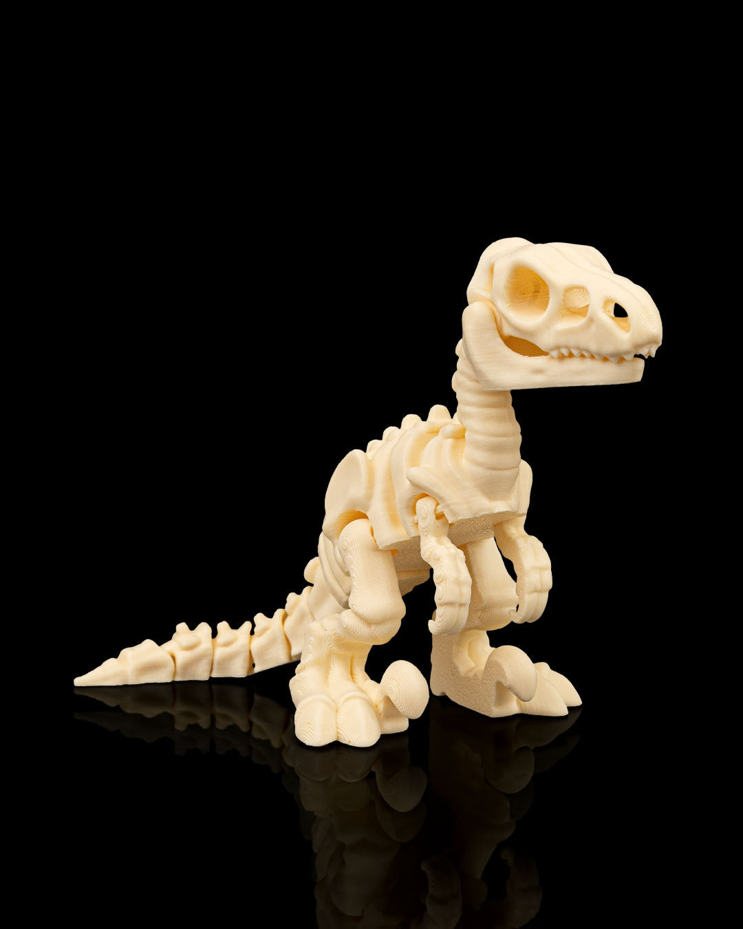 Skeleton Velociraptor – 3D Printed Dinosaur Skeleton Model