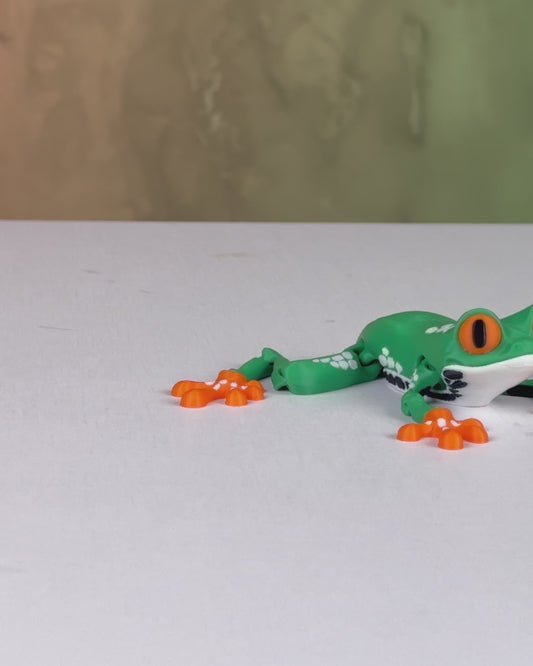 Meet Reed, the Red Eyed Tree Frog! 🐸👀