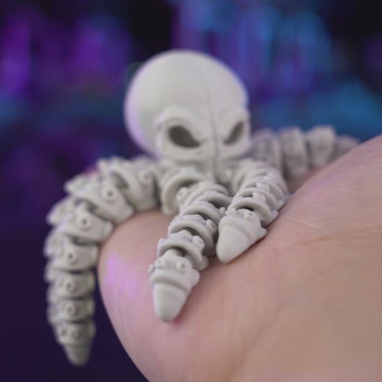 3D Printed, Skeleton Octopus, Octopus Model, Ocean Decor, Marine Life, Collectible, Aquarium Ready, Ottawa Made, Gift Idea, Handmade, Locally Made