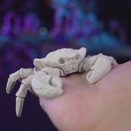 3D printed Skeleton Crab model with detailed skeletal shell and claw design, available in toy/decor or aquarium-ready versions, made in Ottawa, Canada.