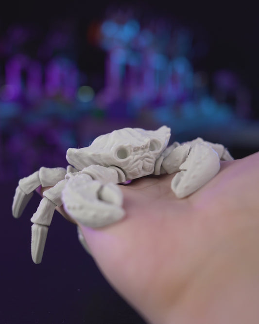 3D printed Skeleton Crab model with detailed skeletal shell and claw design, available in toy/decor or aquarium-ready versions, made in Ottawa, Canada.