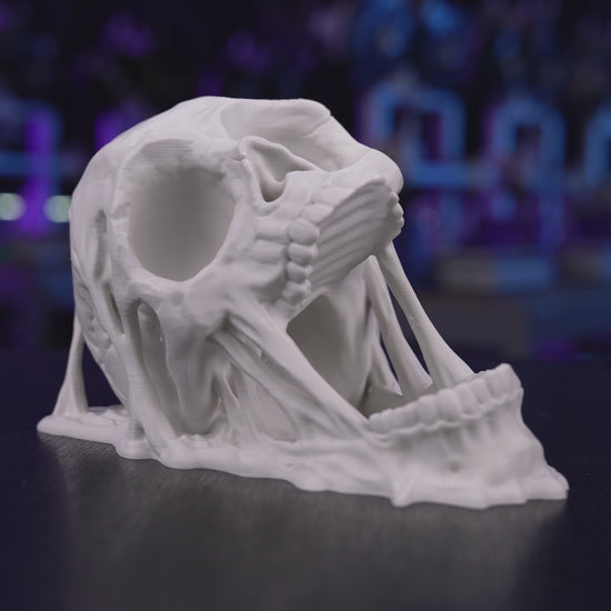 3D printed Doom Skull Dice Tower and tray for tabletop gaming, made in Ottawa, Canada.