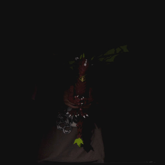 Moss Toy dragon figure with green wings on a  black background