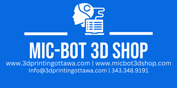 Mic-Bot 3D Shop Online Store